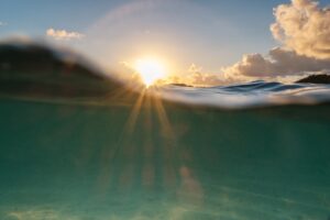 lou lou b photo eD0TsB E pM unsplash
