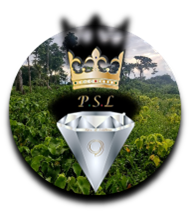 PSL logo design