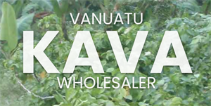 Vanuatu kava logo design