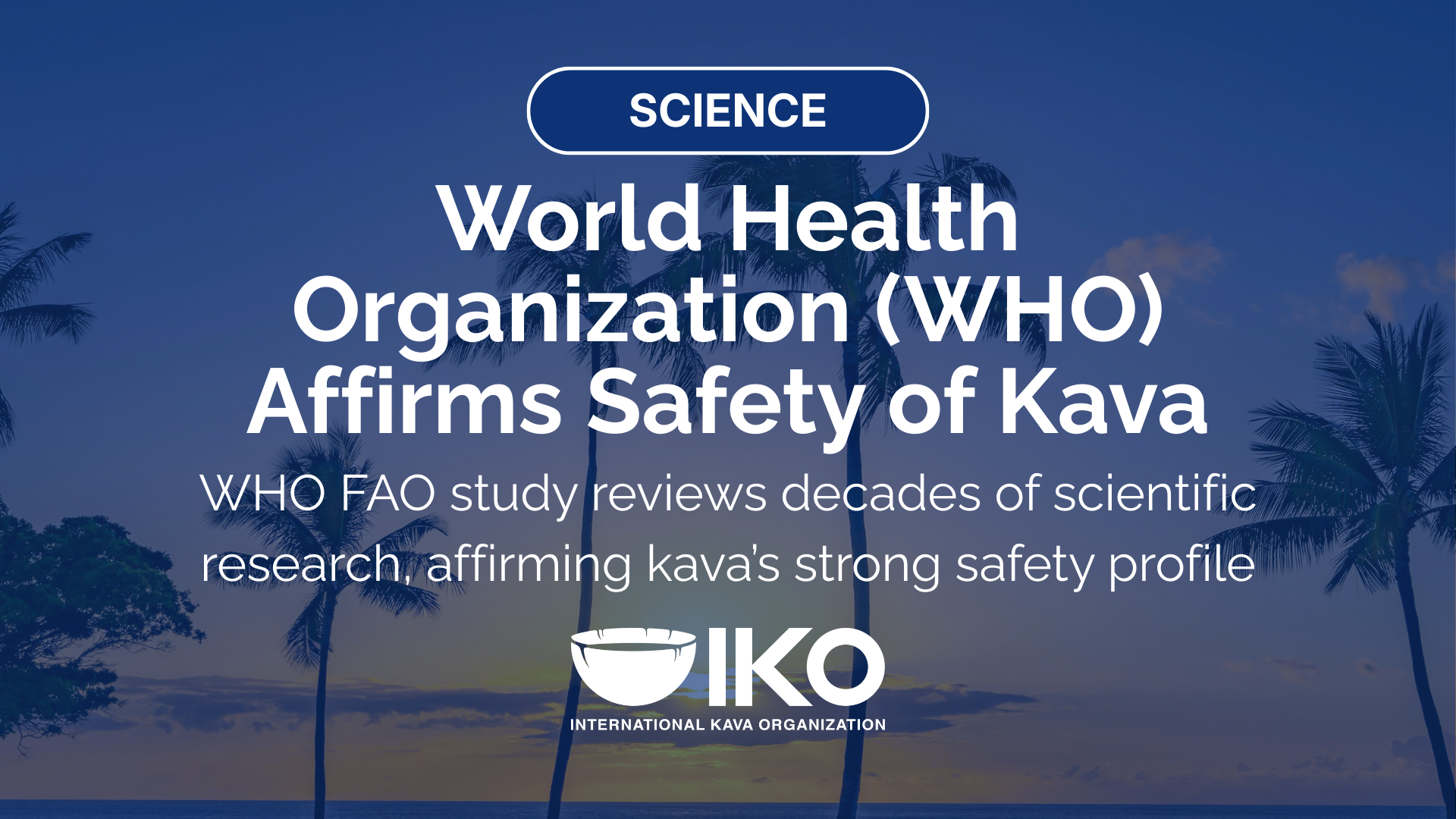 International Kava Organization graphic summarizing World Health Organization and FAO findings on the safety of kava.